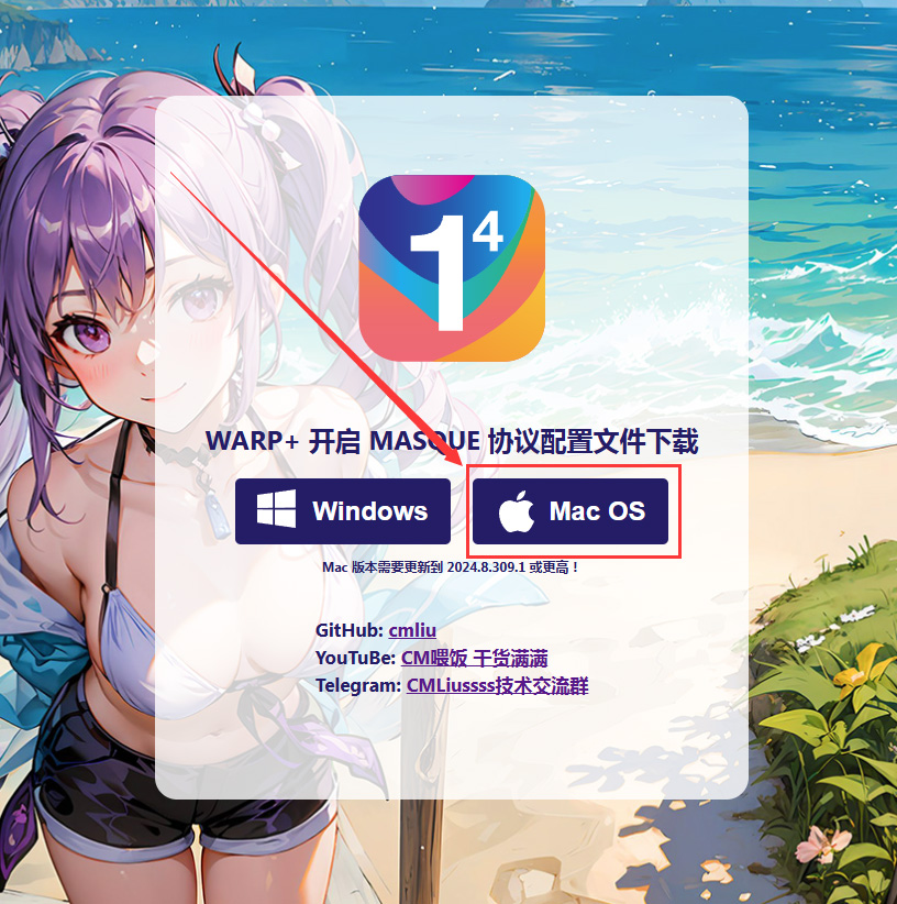 MASQUE配置文件